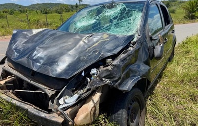 Carro destrói e búfalo morre após colisão violenta na BA-505 em Mata de São João
