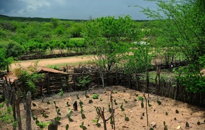 Bahia protagonizou mais de 171 conflitos no campo em 2024, aponta relatório da CPT