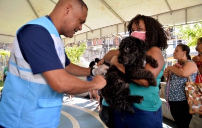 Salvador lança campanha de vacinação antirrábica animal 2025 com 91 postos e ações itinerantes