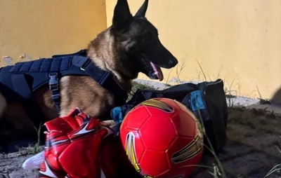 VÍDEO: Cão Messi da PRF encontra drogas escondidas em bolas de futebol na BR-116 em Vitória da Conquista