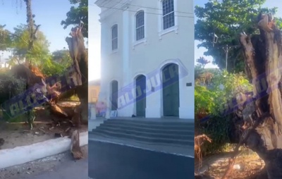 Árvore centenária cai no Santo Antônio Além do Carmo e interdita via em Salvador
