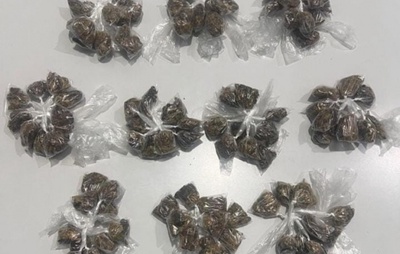 PM apreende maconha em zona rural de Paramirim