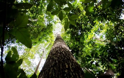 Associação Nacional dos Defensores Públicos lança campanha de sustentabilidade em Salvador