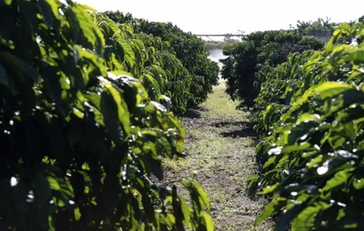 Agro Brasileiro em Alerta: Sanções dos EUA por Compras da Rússia Podem Afetar Fertilizantes e Combustíveis