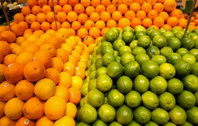 Município de Rio Real pode se tornar capital estadual da laranja após projeto na AL-BA