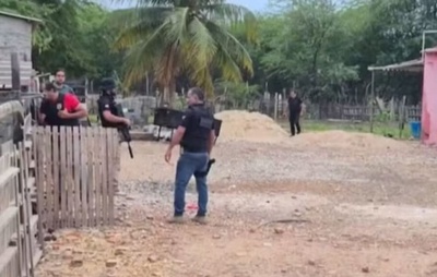 Suspeito de enviar micos e macacos ao RJ, homem é preso por tráfico internacional de animais em Juazeiro