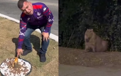 Prefeito de cidade do RJ se revolta com vandalismo e descobre que ato foi feito por capivaras