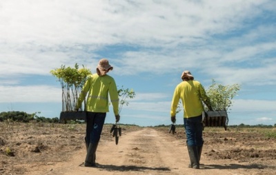 Empreendimentos florestais impulsionam exportações e sustentabilidade na Bahia
