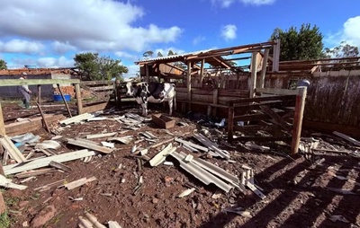 Mais de 200 casas são danificadas após tornado atingir cidade do RS