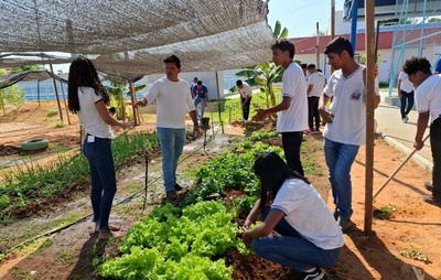 Estudantes baianos cultivam horta ecológica e fortalecem aprendizado prático em Bom Jesus da Lapa