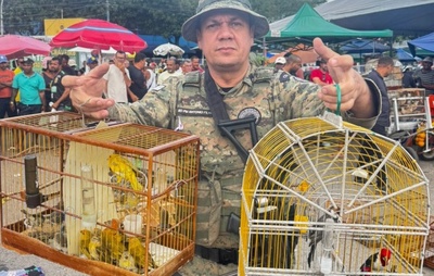 Polícia Resgata 48 Aves Silvestres em Feira de Camaçari e Prende Sete Suspeitos