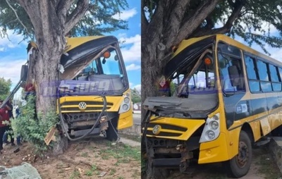 Ônibus escolar bate em árvore em Paulo Afonso; 10 estudantes e adultos ficam feridos