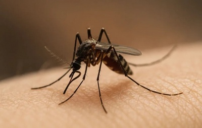 Feira de Santana registra primeira morte por dengue em 2025