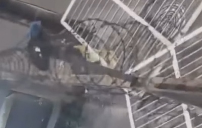 Moradores da Graça relatam onda de furtos após portão ser roubado na Rua Beirute