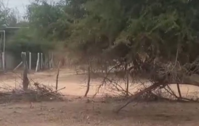 Tragédia em Sobradinho: Idoso e nora morrem eletrocutados em cerca energizada