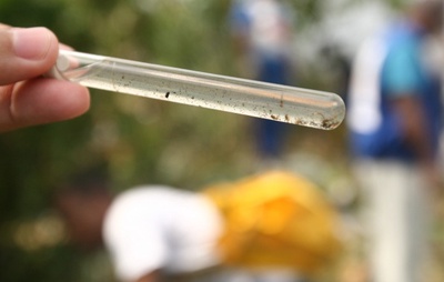 Bahia registra redução de mais de 90% nos casos de dengue e Chikungunya, diz Sesab