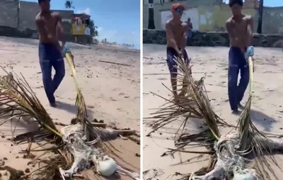 VÍDEO: Ossada humana é encontrada por banhistas na Praia de Jauá, em Camaçari