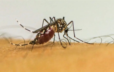 Chikungunya: China Alerta para Maior Surto do Ano com Mais de 10 Mil Casos e Medidas Drásticas