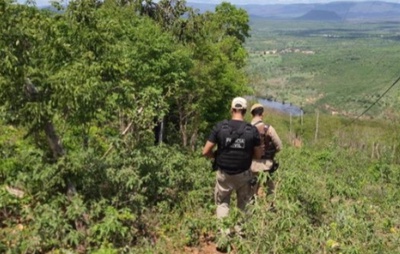 Trabalhador rural é morto após discussão por gaiola de passarinho na Bahia; suspeito foi preso em flagrante