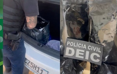 VÍDEO: Polícia Civil apreende 6 quilos de maconha que seriam vendidos na Micareta de Feira