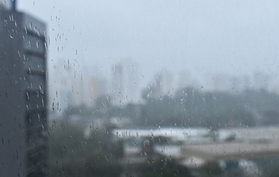Seis árvores caem em Salvador durante fortes chuvas e ventos intensos; Defesa Civil mantém alerta para riscos