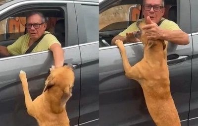 VÍDEO: Moradora registra momento em que cachorro é deixado em via pública em Salvador
