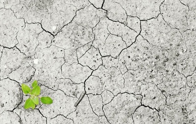Associações de Defensores Públicos lançam campanha Justiça Climática é Justiça Social; entenda