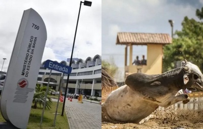 Ministério Público recomenda medidas rigorosas para fiscalização de vaquejadas em municípios da Bahia