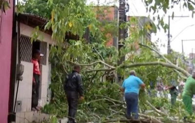 Árvore cai após chuva e deixa isolados moradores de avenida em Simões Filho